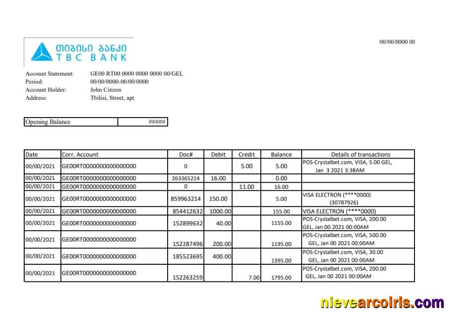 Georgia TBC Bank statement easy to fill in Excel and PDF format